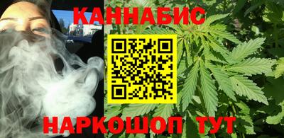 шишки Кимры
