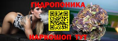 шишки Кимры